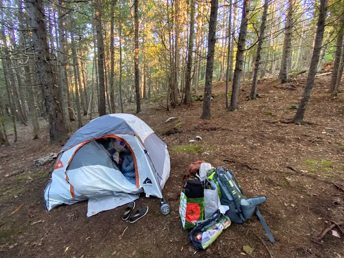 Acadia East Campground Picture 2