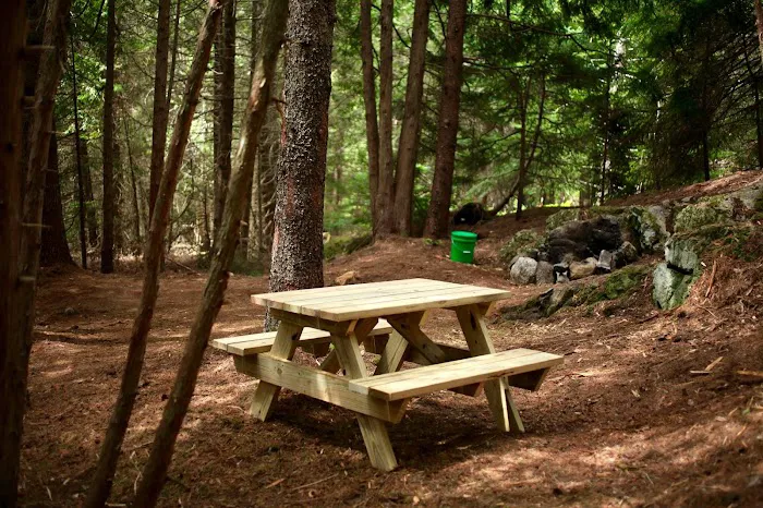 Acadia East Campground Picture 3