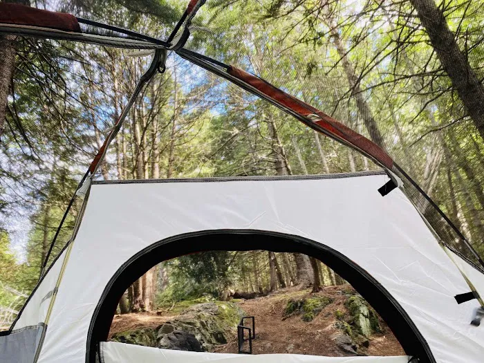 Acadia East Campground Picture 6