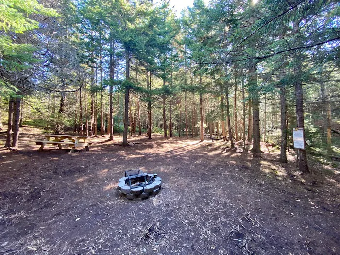 Acadia East Campground Picture 7