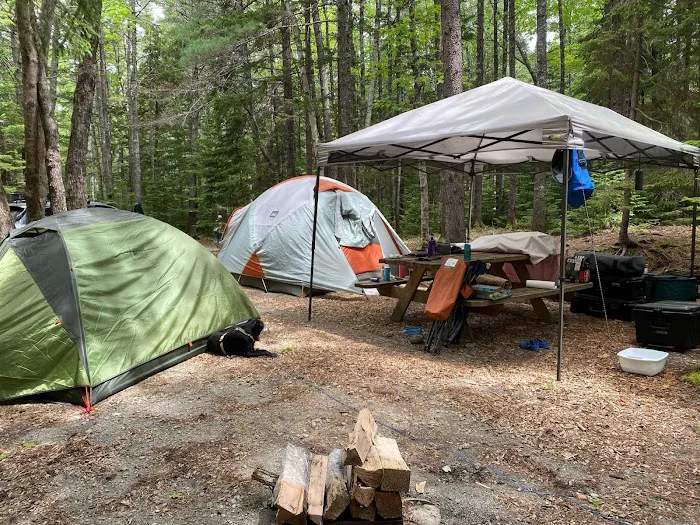 Mount Desert Campground Picture 4