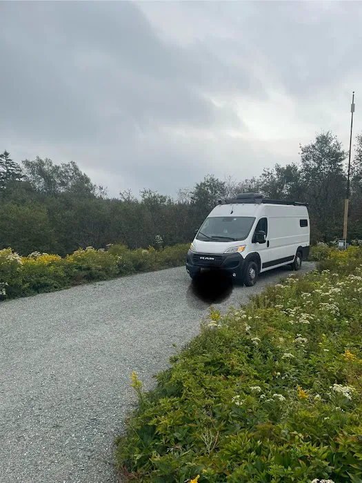 Henry Cove RV Park Picture 4