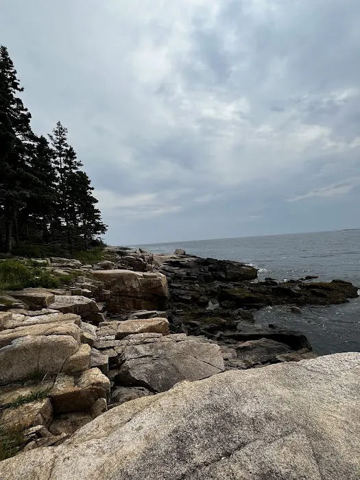 Henry Cove RV Park Picture 1