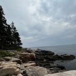 Henry Cove RV Park