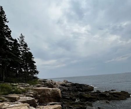 Henry Cove RV Park
