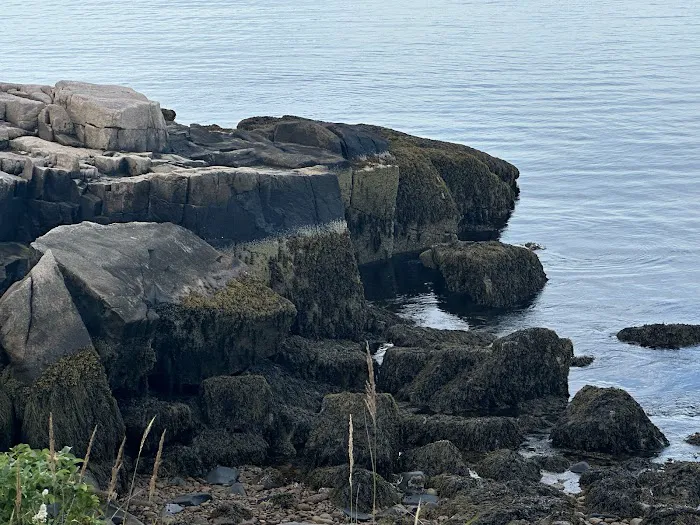 Schoodic Woods Campground Picture 6