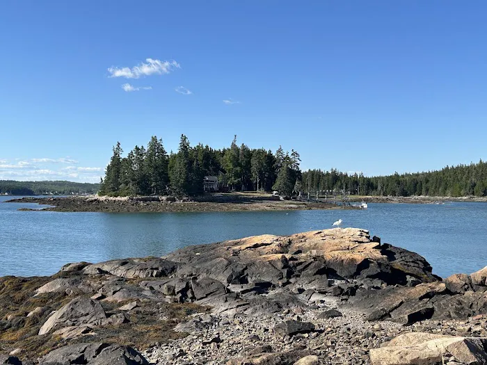 Schoodic Woods Campground Picture 8