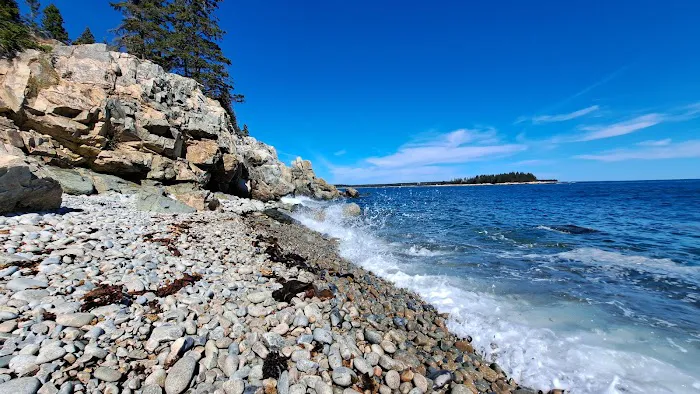 Schoodic Woods Campground Picture 7