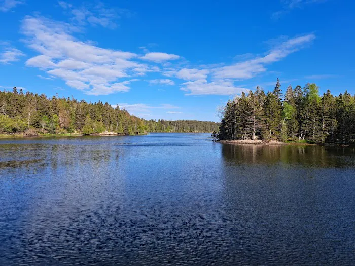 Schoodic Woods Campground Picture 3