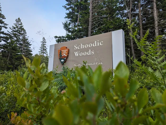 Schoodic Woods Campground Picture 9