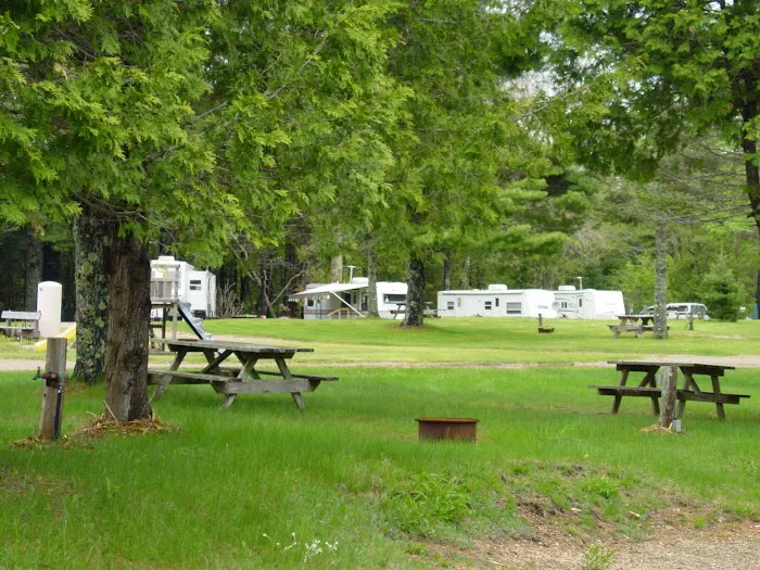 Northport Campground Picture 6
