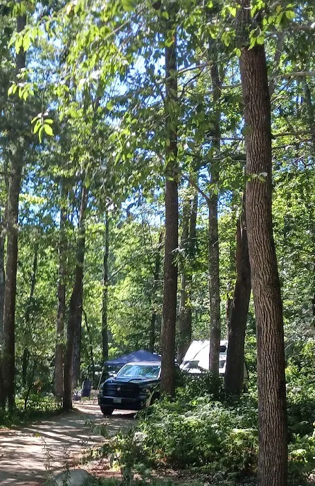 Camden Hills State Park Campground Picture 10