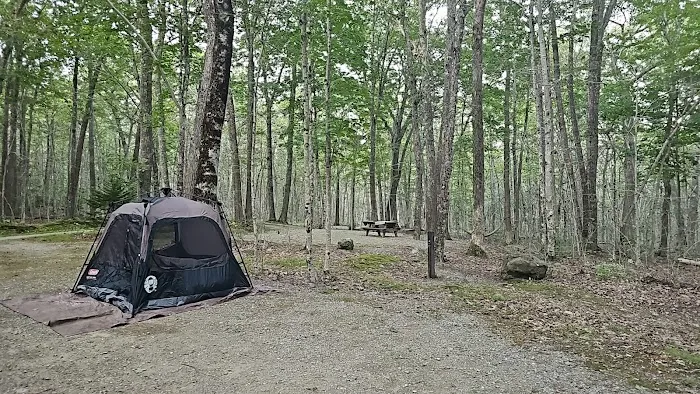 Camden Hills State Park Campground Picture 7