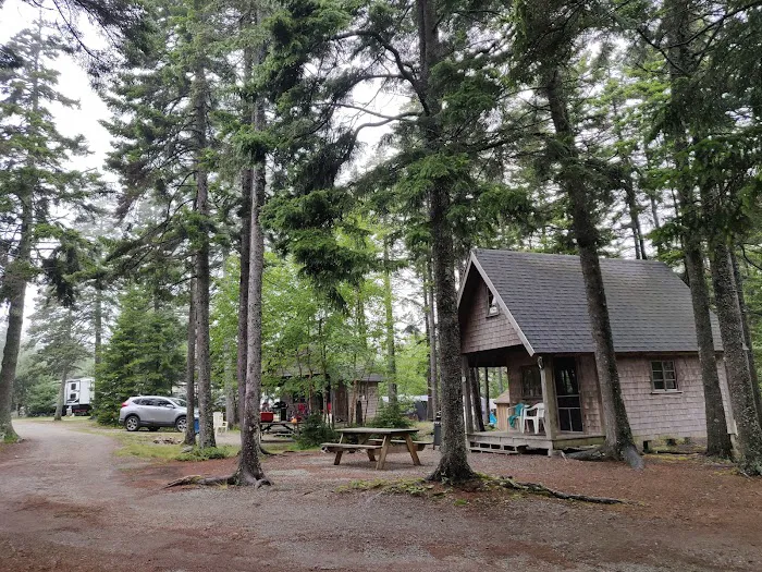 Bass Harbor Campground Picture 6