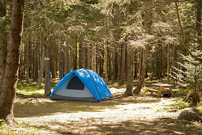 Bass Harbor Campground Picture 2