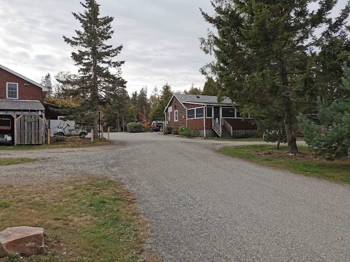 Bass Harbor Campground Picture 8