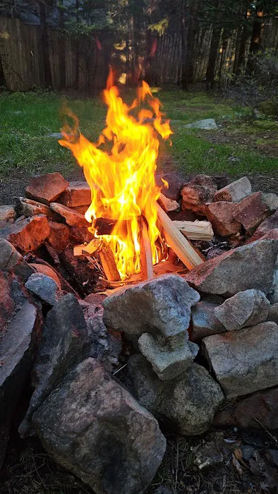 Bass Harbor Campground Picture 9