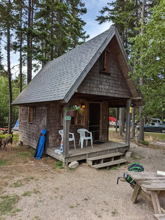 Bass Harbor Campground Picture 7