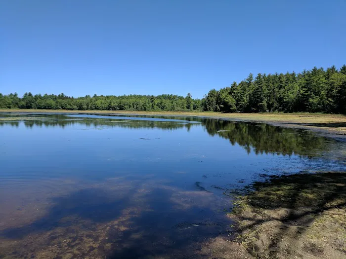 Camp Neofa Picture 6