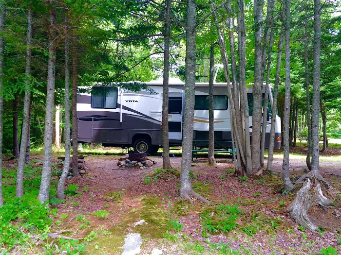 Greenlaw's RV Park and Campground Picture 8