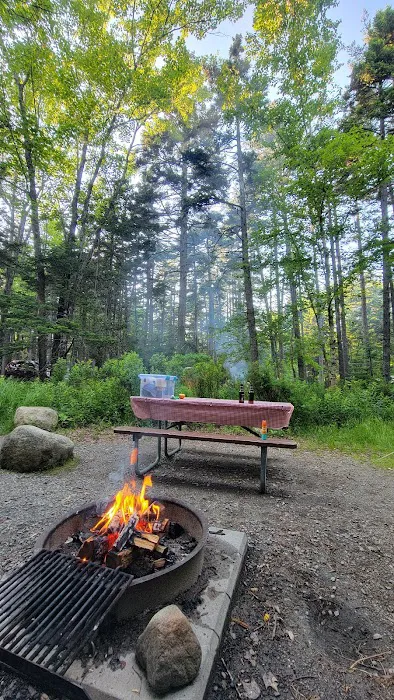 Blackwoods Campground Picture 1