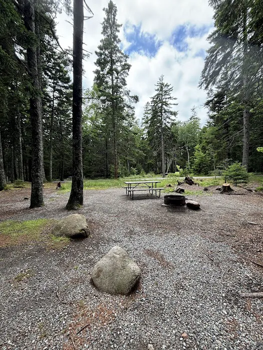 Blackwoods Campground Picture 3
