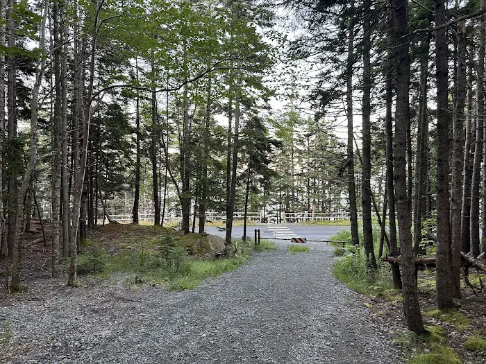 Blackwoods Campground Picture 4