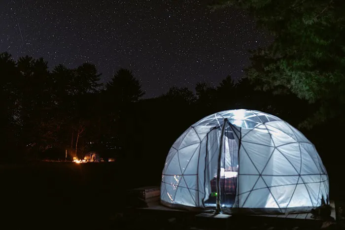 ComfyDome Picture 8