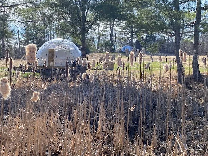 ComfyDome Picture 6