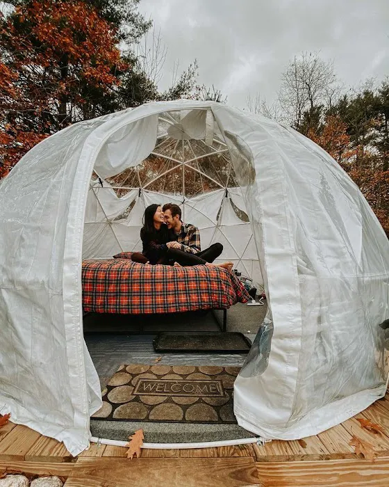ComfyDome Picture 7