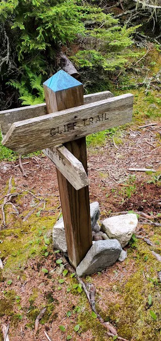 Duck Harbor Campground Picture 10