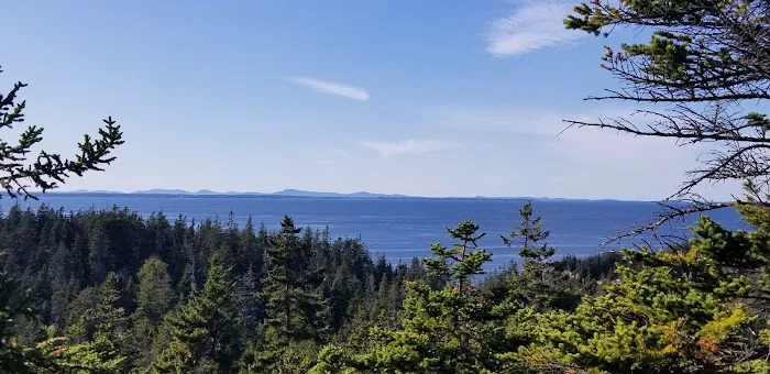 Duck Harbor Campground Picture 1