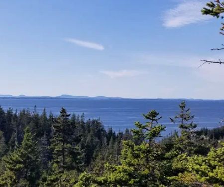 Duck Harbor Campground