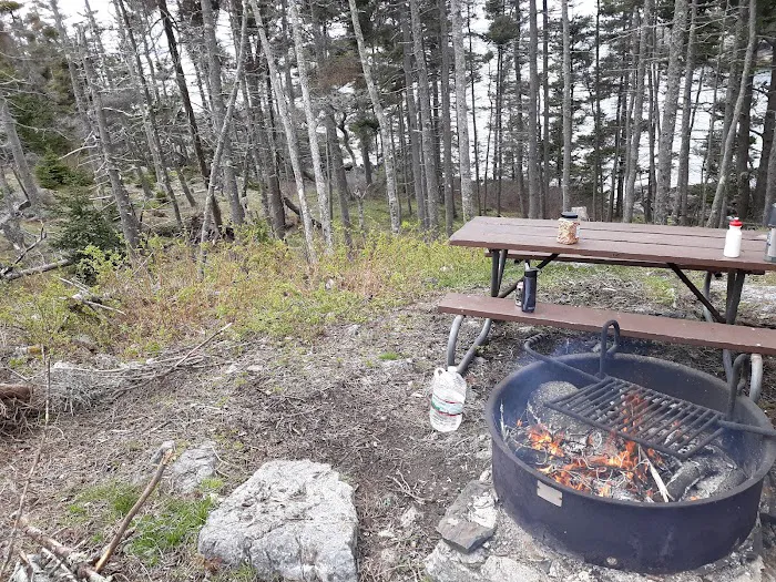 Duck Harbor Campground Picture 5