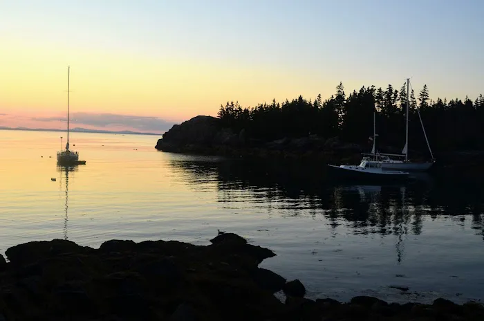Duck Harbor Campground Picture 9
