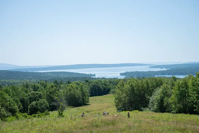 Ferncrest Acadia Picture 3