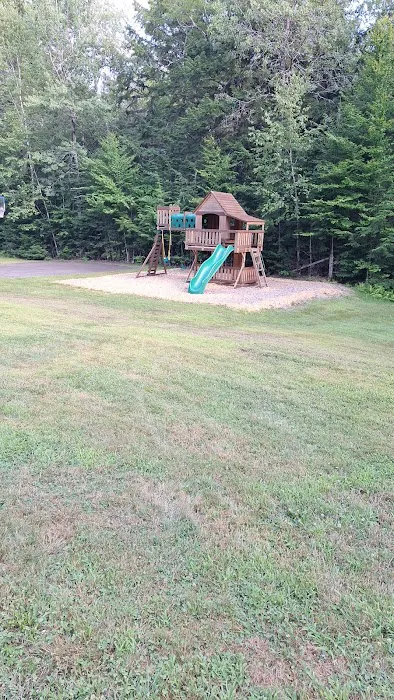 Town Line Camping Picture 5
