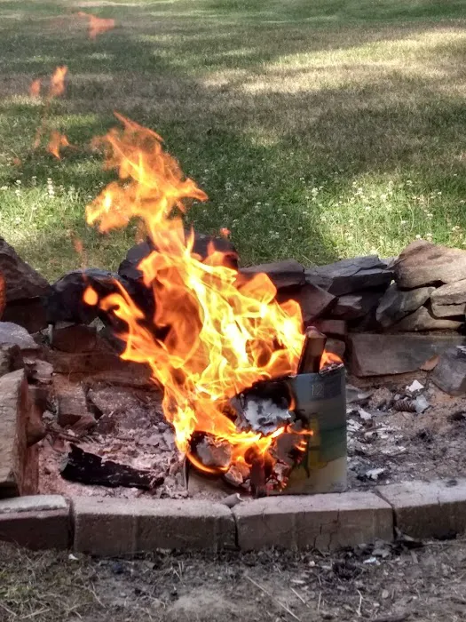 Town Line Camping Picture 4