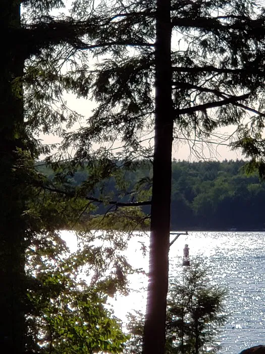 Town Line Camping Picture 9