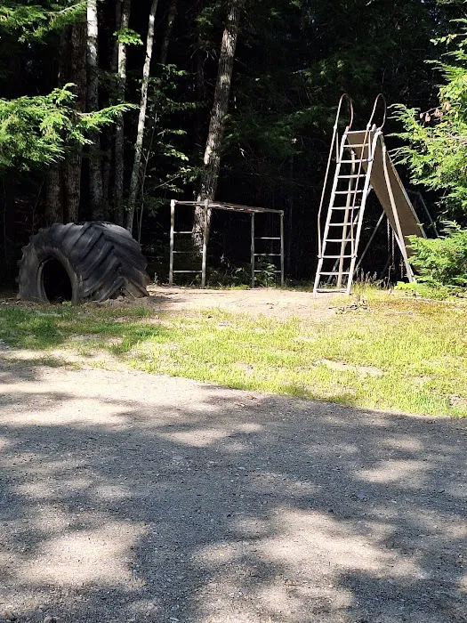 Town Line Camping Picture 8