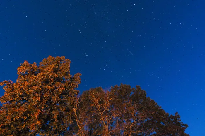 Persimmon Grove Retreat and Camp Picture 5