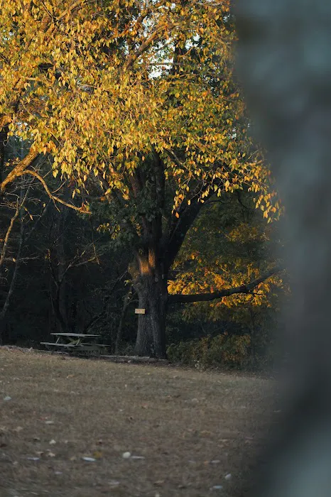 Persimmon Grove Retreat and Camp Picture 8