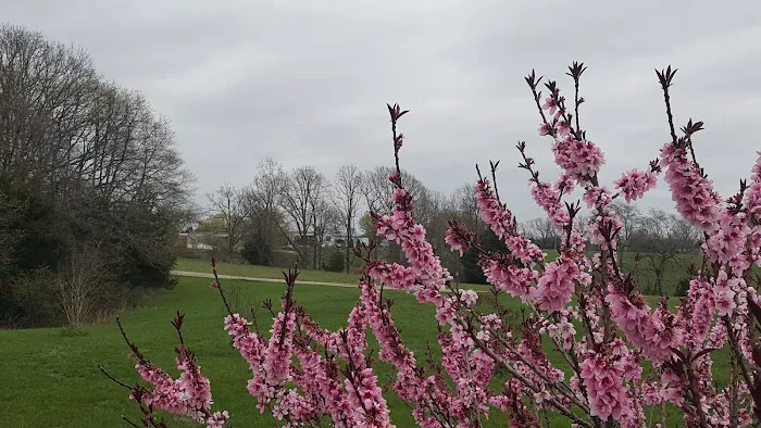 Stones Mobile Home & RV Park Picture 1