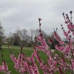 Stones Mobile Home & RV Park