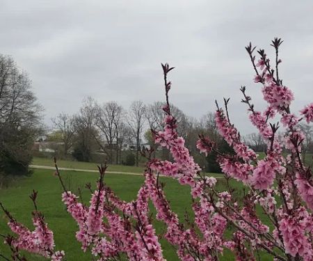 Stones Mobile Home & RV Park