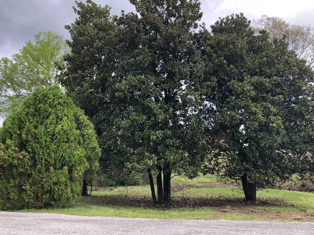 The Y Campground Picture 2