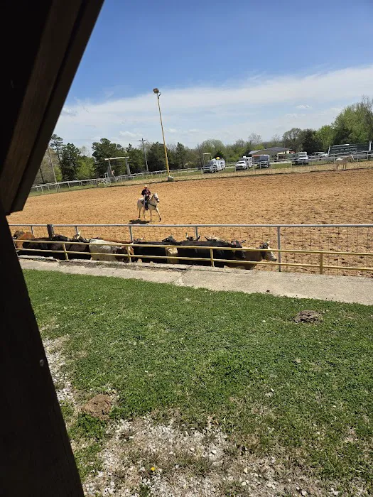 Rodeo eclipse camp Picture 2