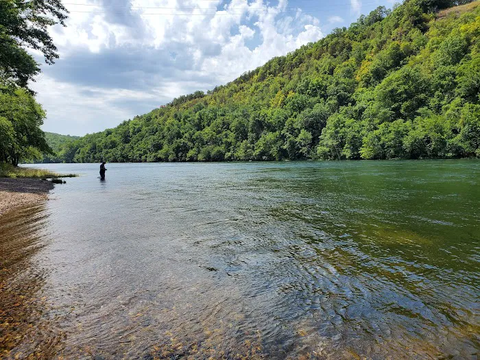 Bull Shoals White River Campground Picture 5