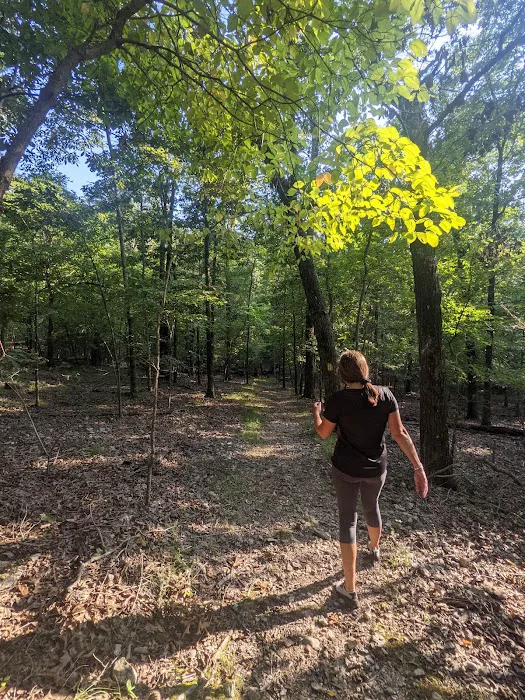 Bull Shoals White River Campground Picture 6