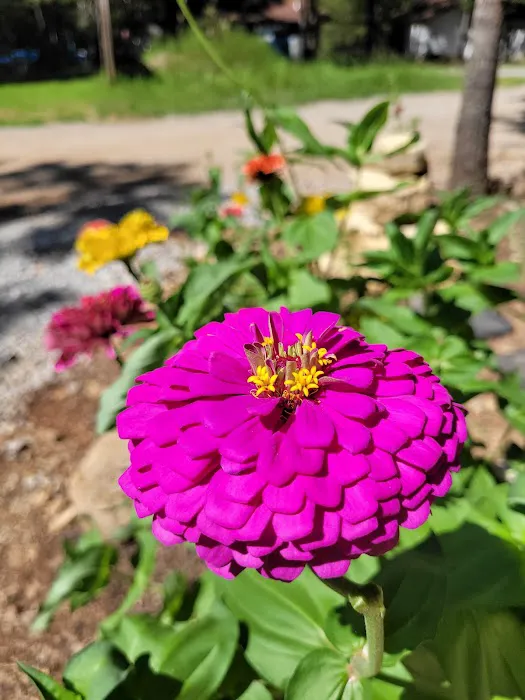 Point 10 East, LLC Picture 10